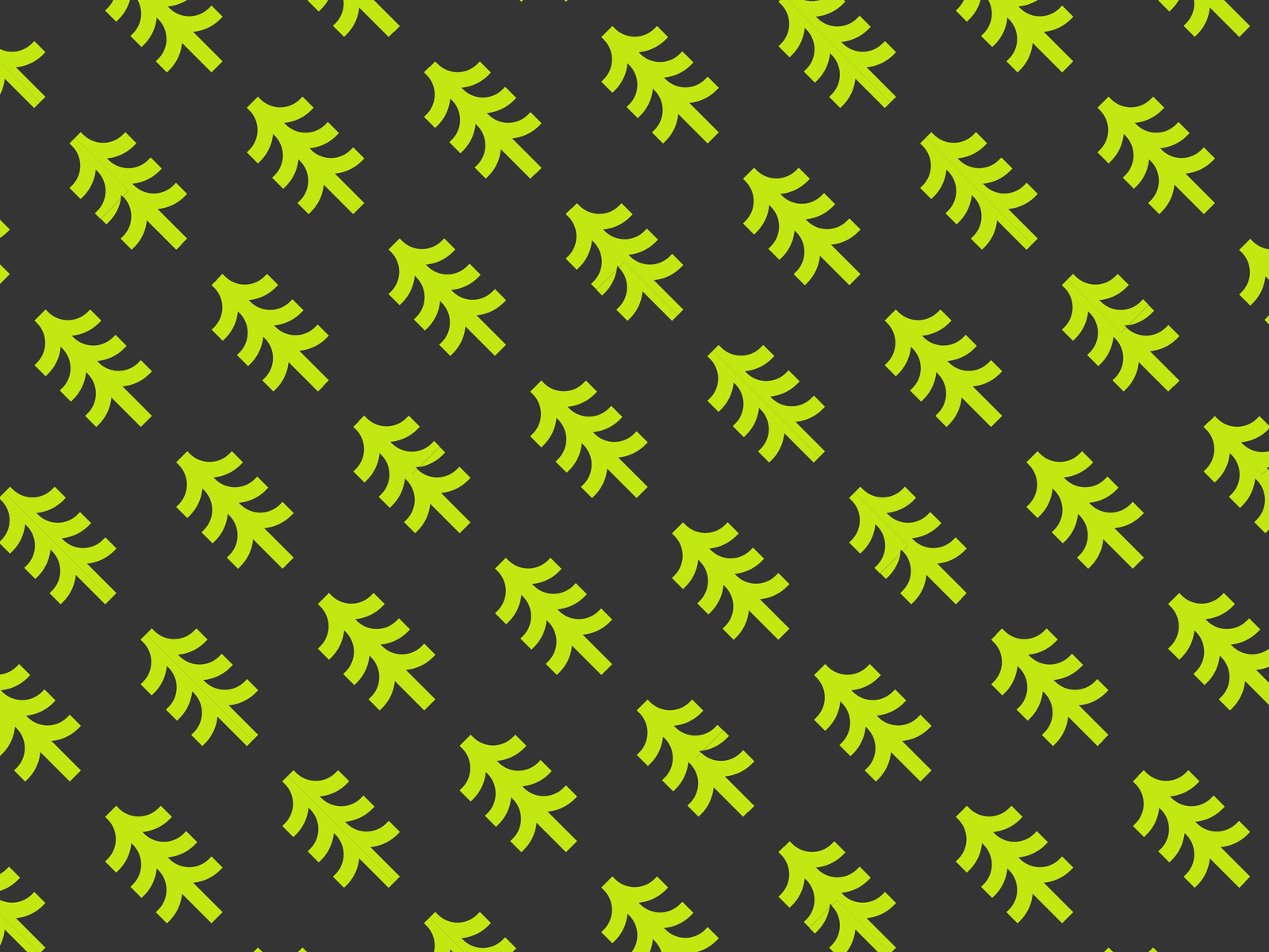 Pattern grafico Bouvet - brand identity outdoor