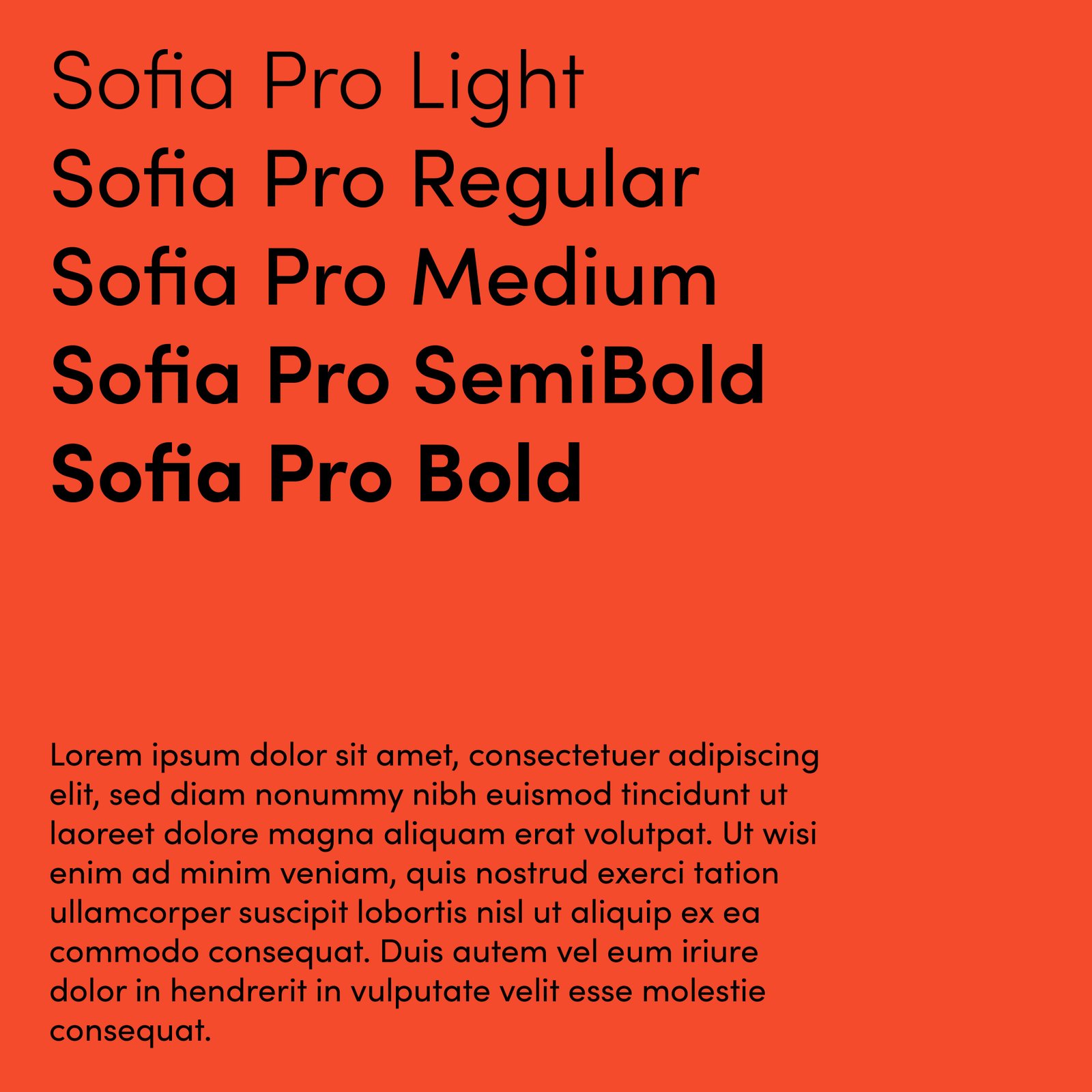 Tipografia brand identity MC Solutions - font aziendali sistema visual identity